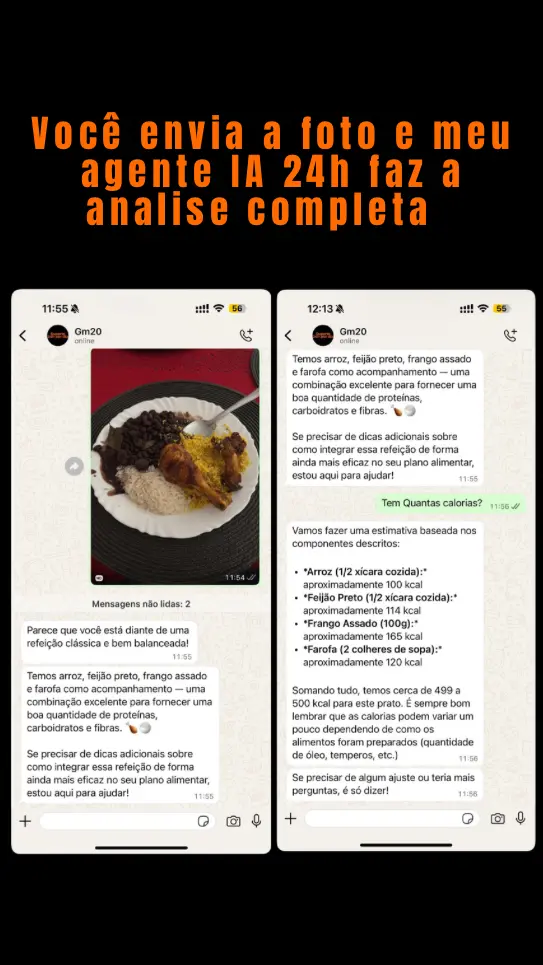 GM20 Metodologia - Acompanhamento com IA 24h